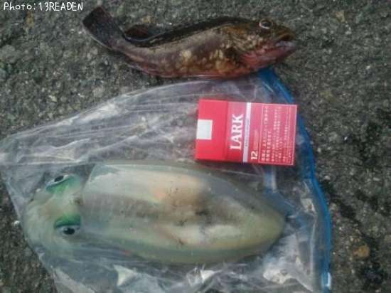 �����ꥤ��