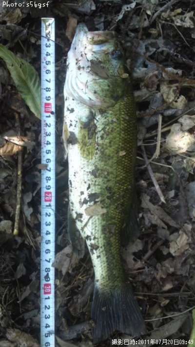 �֥�å��Х�