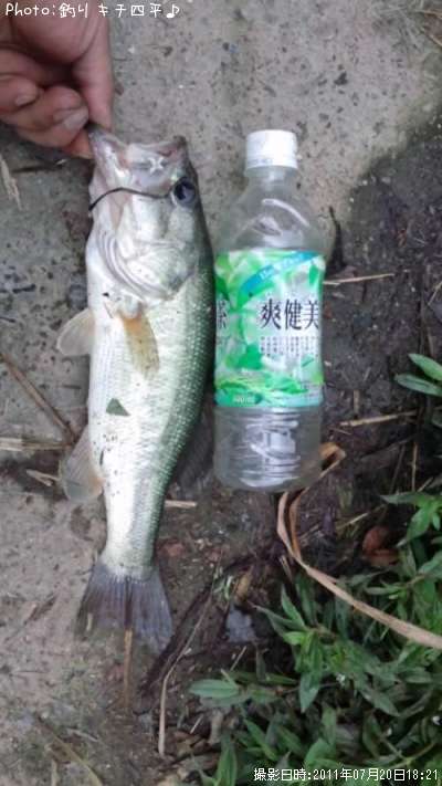 �֥�å��Х�