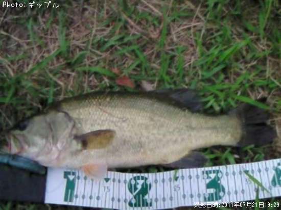 �֥�å��Х�