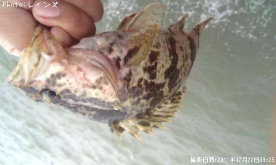 �����Υ���Х�