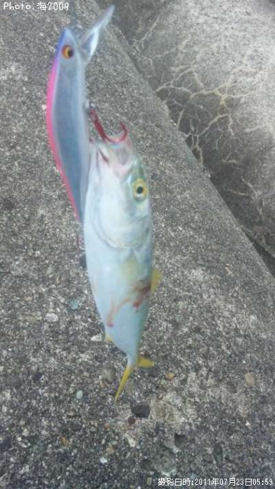 �����å�