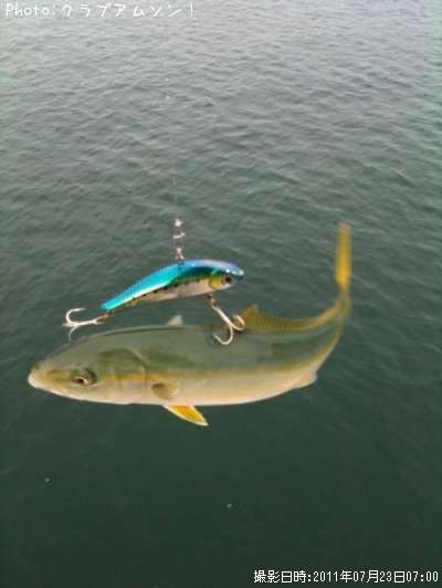 �����ä�