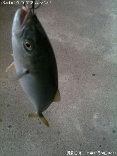 �����ä�