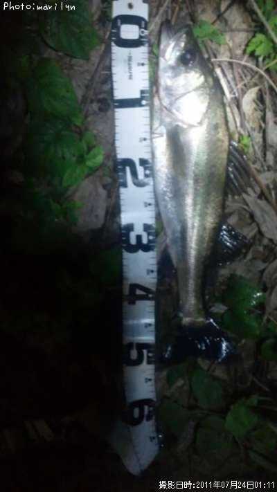 �����Х�