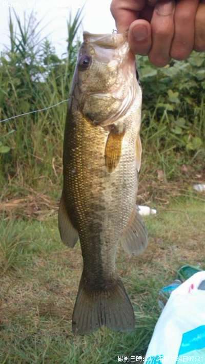 �֥�å��Х�