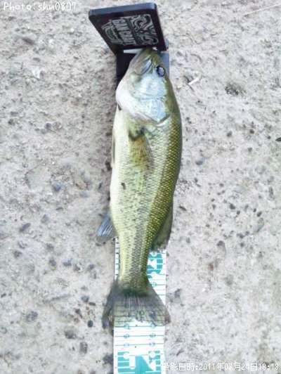 �֥�å��Х�