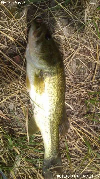 �֥�å��Х�