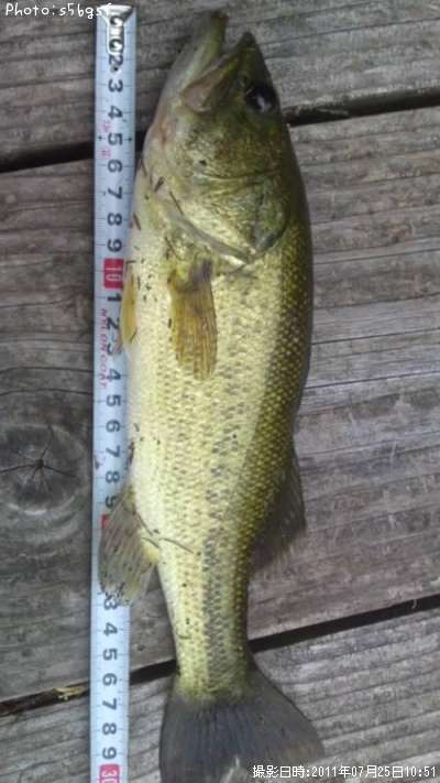 �֥�å��Х�