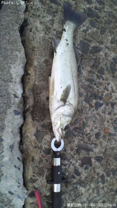 �����Х�