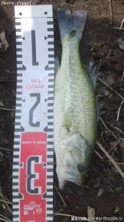 �֥�å��Х�