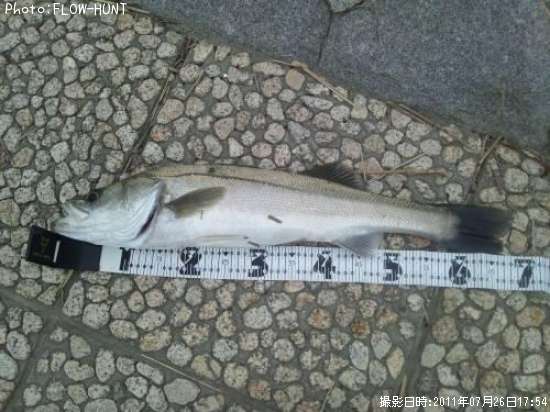 �����Х�