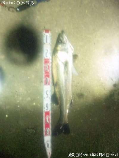 �����Х�