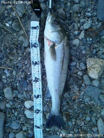 �����Х���