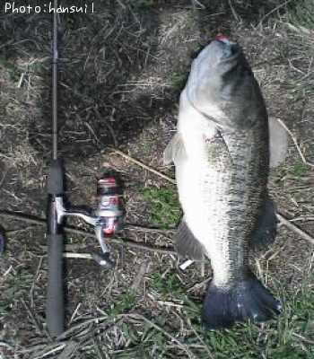 �֥�å��Х�