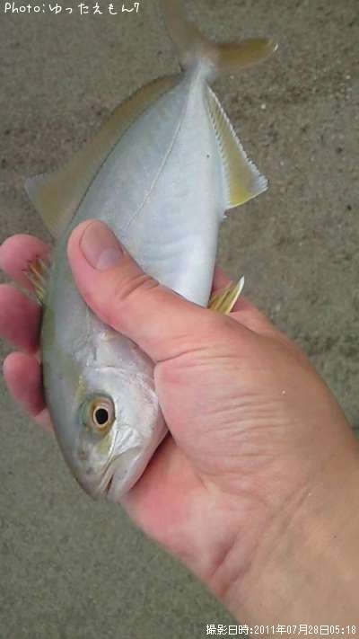 ����ѥ��λ�