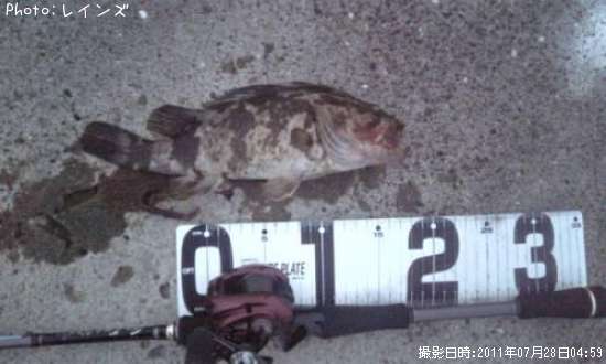 �����Υ���Х�