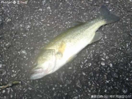 �֥�å��Х�