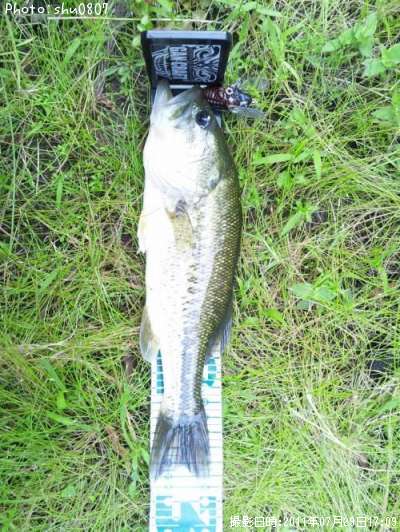 �֥�å��Х�