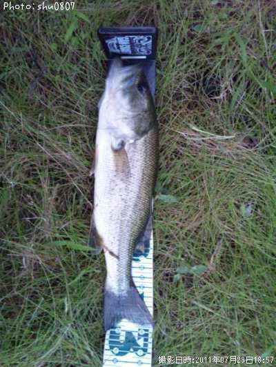 �֥�å��Х�