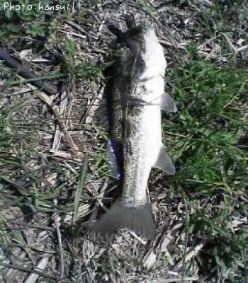 �֥�å��Х�