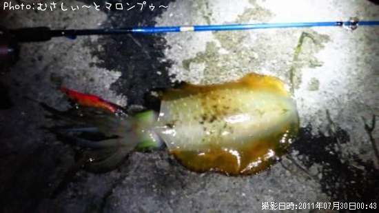 �����ꥤ��