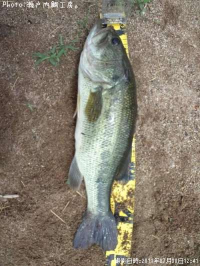 �֥�å��Х�