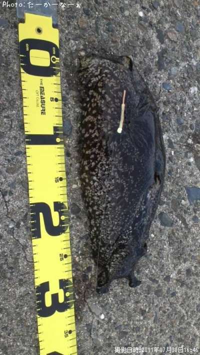 ���ߥ���