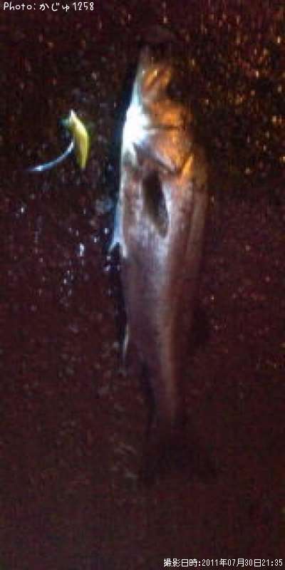 �����Х�