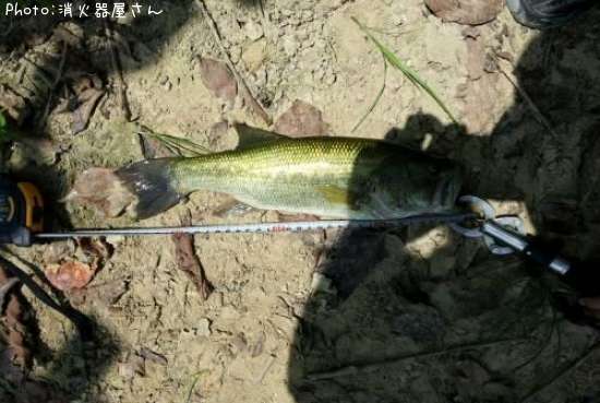 �֥�å��Х�