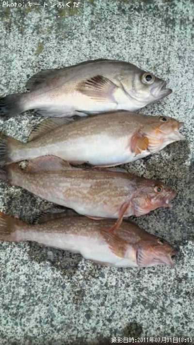 ��Х�ȥ����ʥ�