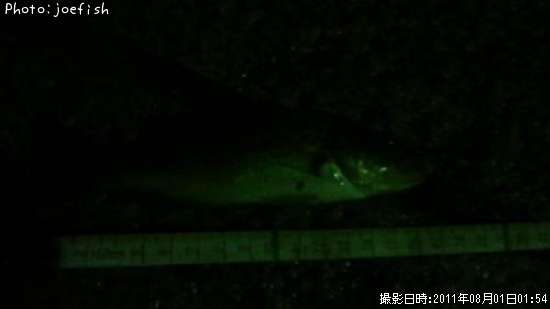 �֥�å��Х�