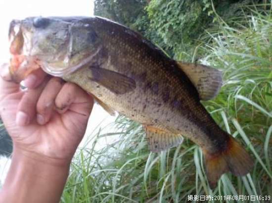 �֥�å��Х�