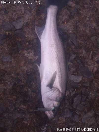 �����Х�