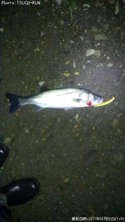 �����Х�