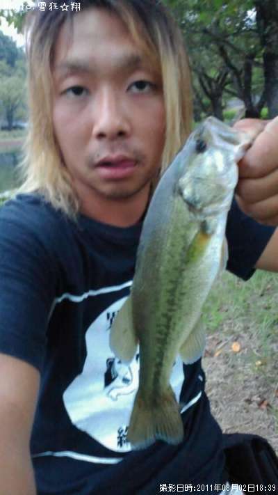 �֥�å��Х�