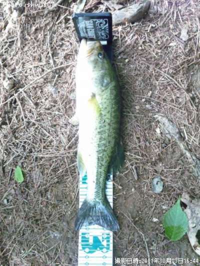 �֥�å��Х�