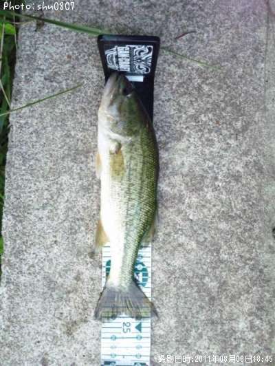 �֥�å��Х�