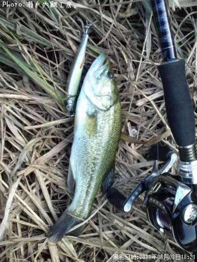 �֥�å��Х�