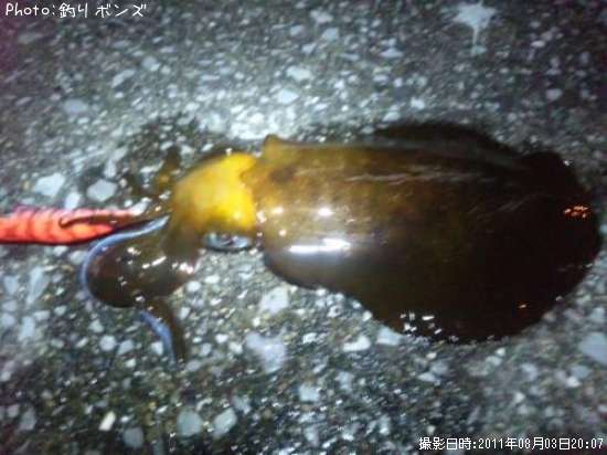 �����ꥤ��