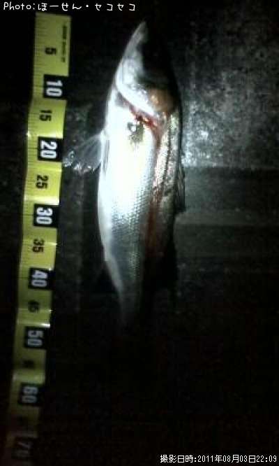 �����Х�