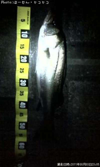 �����Х�