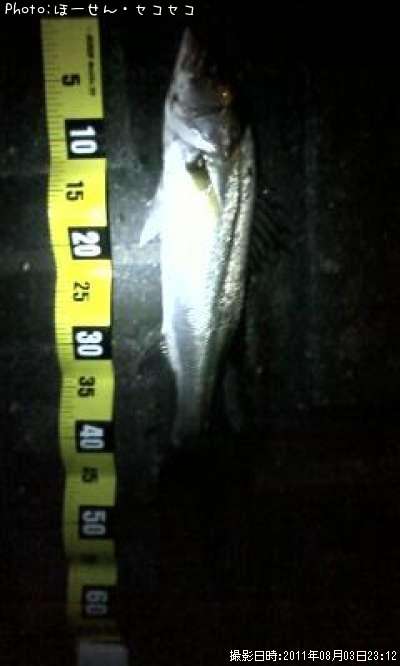 �����Х�