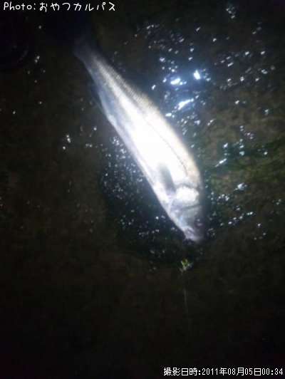 �����Х�