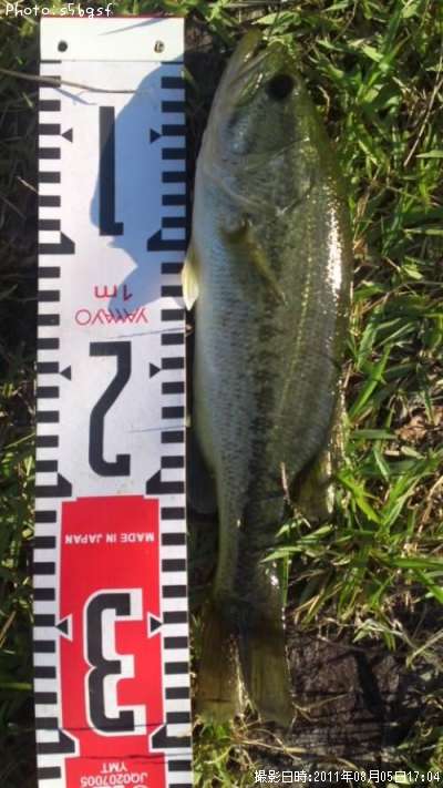 �֥�å��Х�