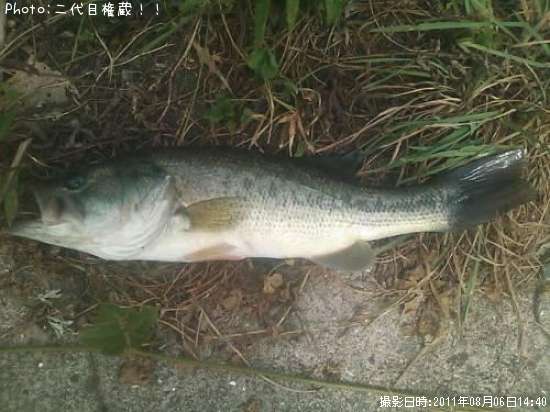 �֥�å��Х�