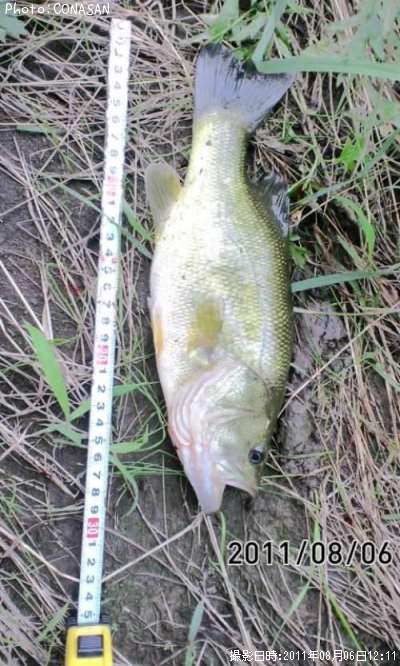 �֥�å��Х�