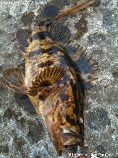 �����Υ���Х�