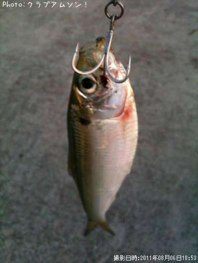 ���Υ���