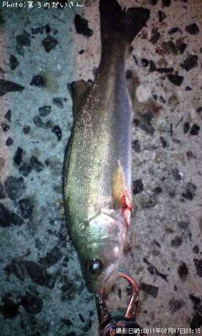 �����Х�